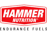 Hammer logo